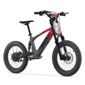 DRAISIENNE SEDNA SX 18" 2024 – Image 2